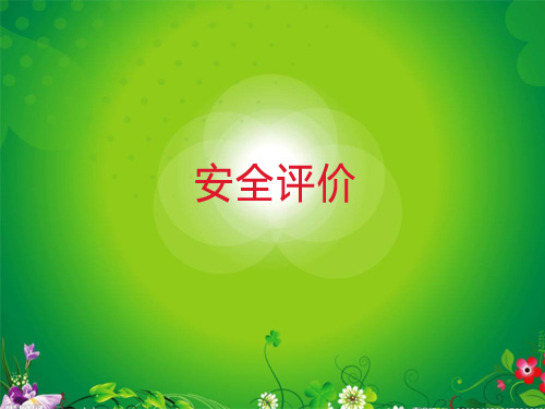 安全評(píng)價(jià) 安全評(píng)價(jià)